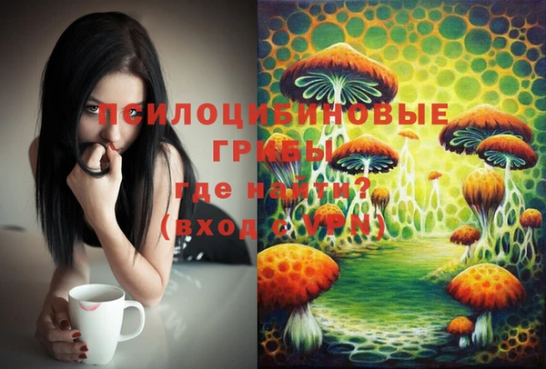 крисы Абинск