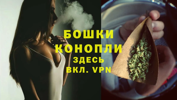 PSILOCYBIN Майский